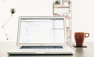 Model 2-------Website Dsign