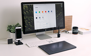 Model 4-------Software Development