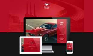 Model 3-------App Picture Design